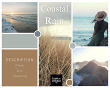Load image into Gallery viewer, Coastal Rain Soy Wax Melts