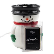 Load image into Gallery viewer, Electric Wax Warmers - "Frosty Glow"
